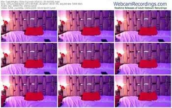 cam4-lynnet-11-29-2024-00-33-31