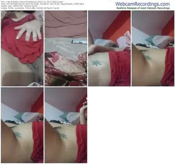 cam4-tinkerlun-11-29-2024-17-39-12