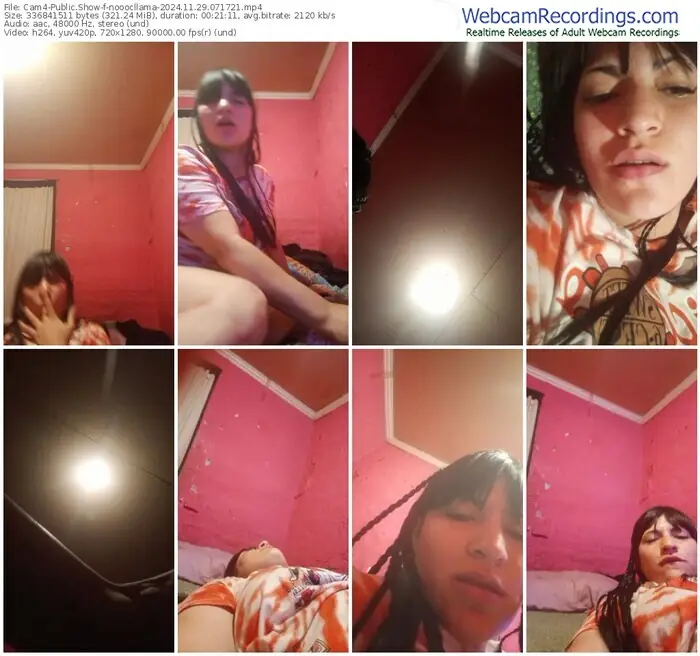 cam4-nooocllama-11-29-2024-07-17-21