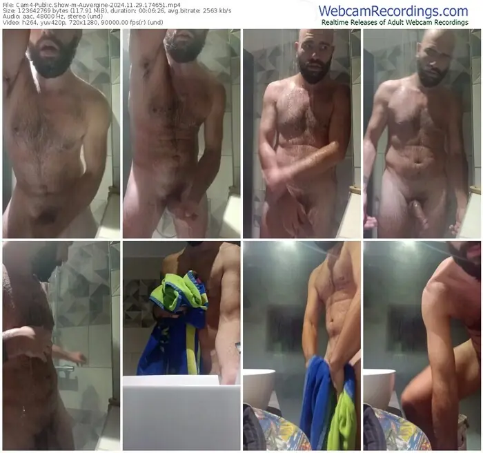 cam4-auvergine-11-29-2024-17-46-51