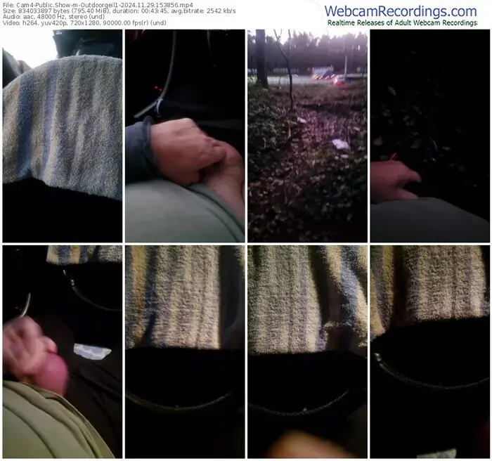 cam4-outdoorgeil1-11-29-2024-15-38-56
