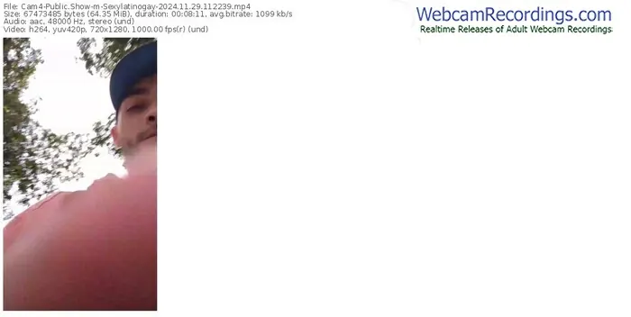 cam4-sexylatinogay-11-29-2024-11-22-39