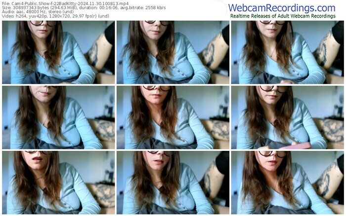 cam4-22badkitty-11-30-2024-10-08-13