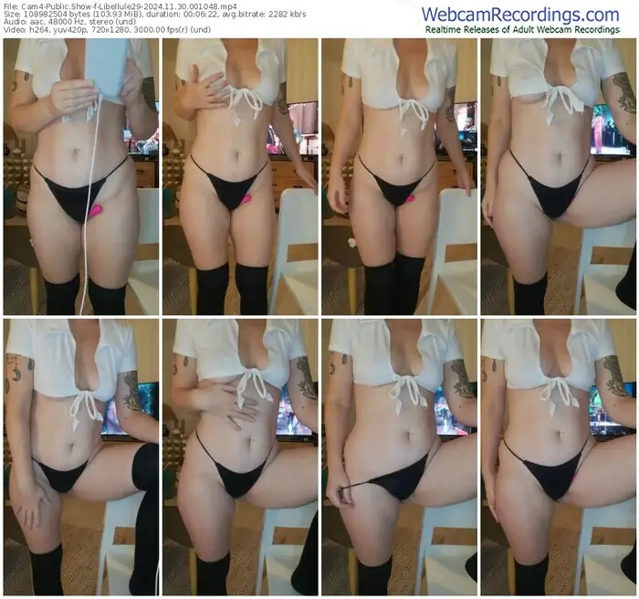 cam4-libellule29-11-30-2024-00-10-48