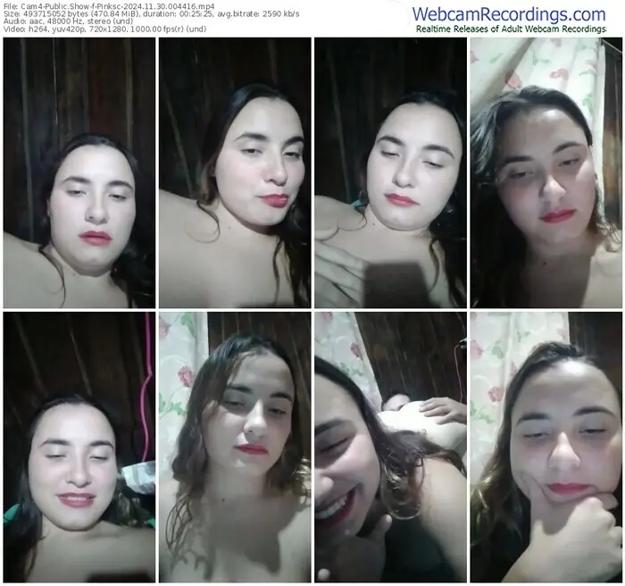 cam4-pinksc-11-30-2024-00-44-16