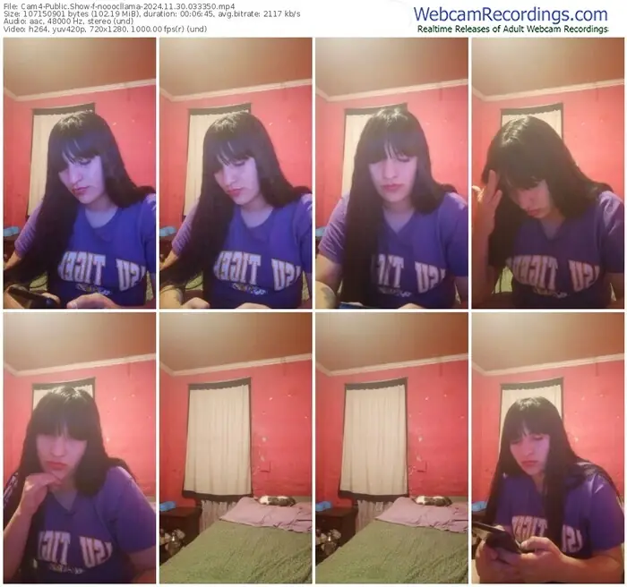 cam4-nooocllama-11-30-2024-03-33-50