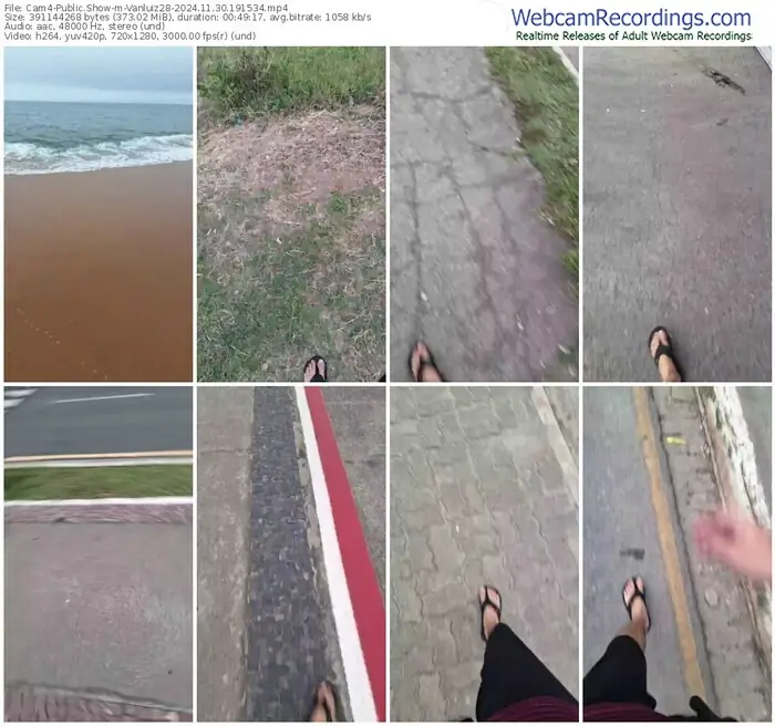 cam4-vanluiz28-11-30-2024-19-15-34