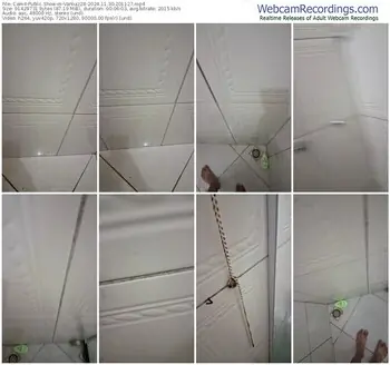 cam4-vanluiz28-11-30-2024-20-11-27