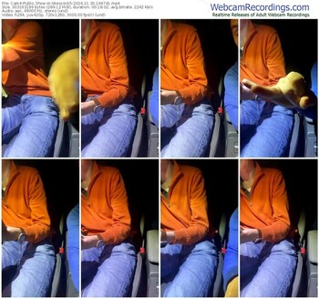 cam4-likescock5-11-30-2024-16-47-41