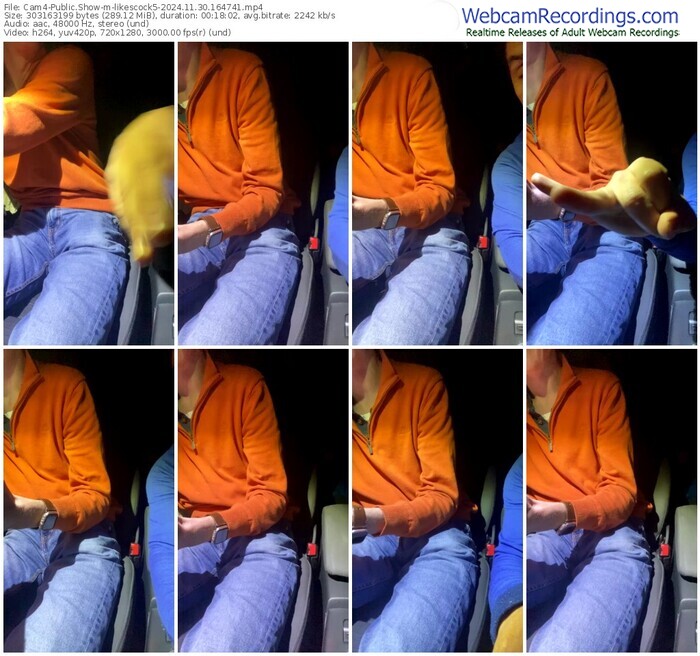 cam4-likescock5-11-30-2024-16-47-41