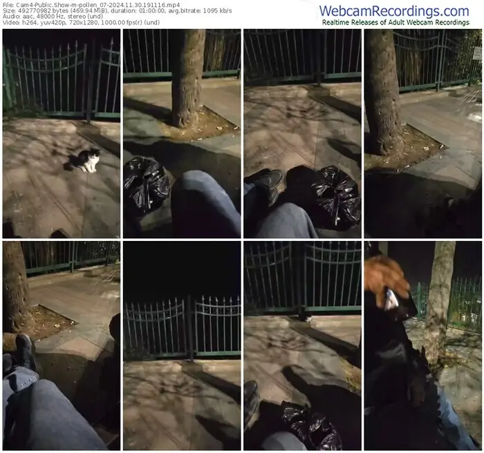 cam4-pollen_07-11-30-2024-19-11-16