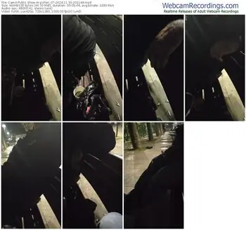 cam4-pollen_07-11-30-2024-20-11-48