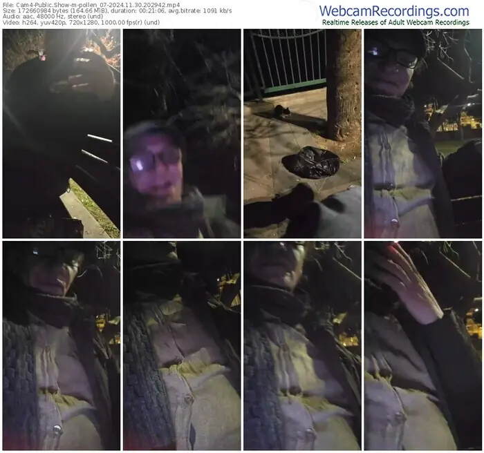 cam4-pollen_07-11-30-2024-20-29-42