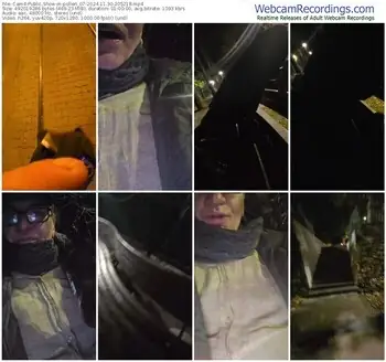 cam4-pollen_07-11-30-2024-20-52-18