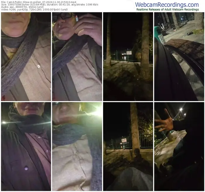 cam4-pollen_07-11-30-2024-21-53-10