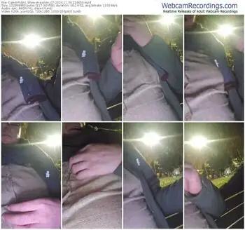 cam4-pollen_07-11-30-2024-22-44-59