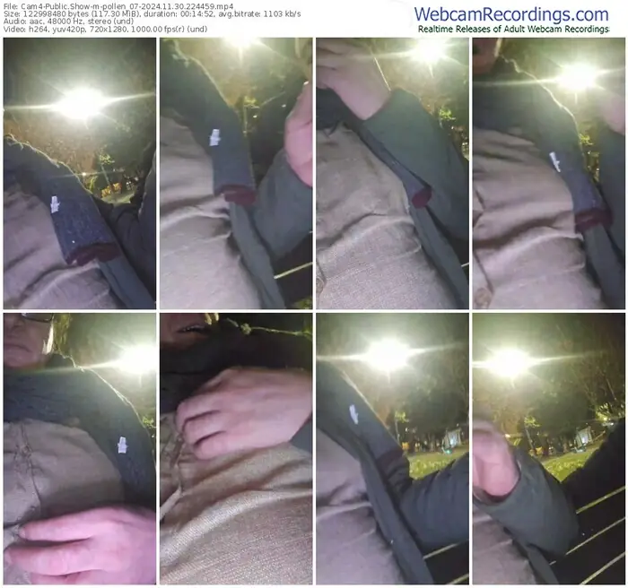 cam4-pollen_07-11-30-2024-22-44-59