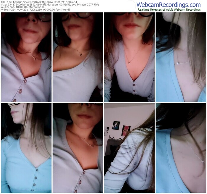 cam4-22badkitty-12-01-2024-21-13-38