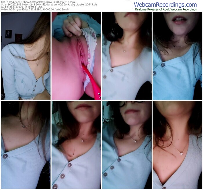 cam4-22badkitty-12-01-2024-22-46-19