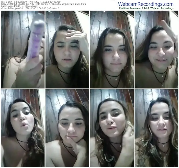 cam4-pinksc-12-01-2024-04-04-05