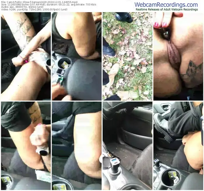 cam4-sansan2420-12-01-2024-14-46-55