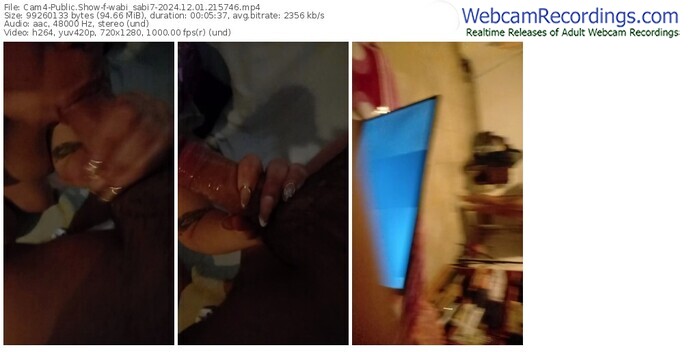 cam4-wabi_sabi7-12-01-2024-21-57-46