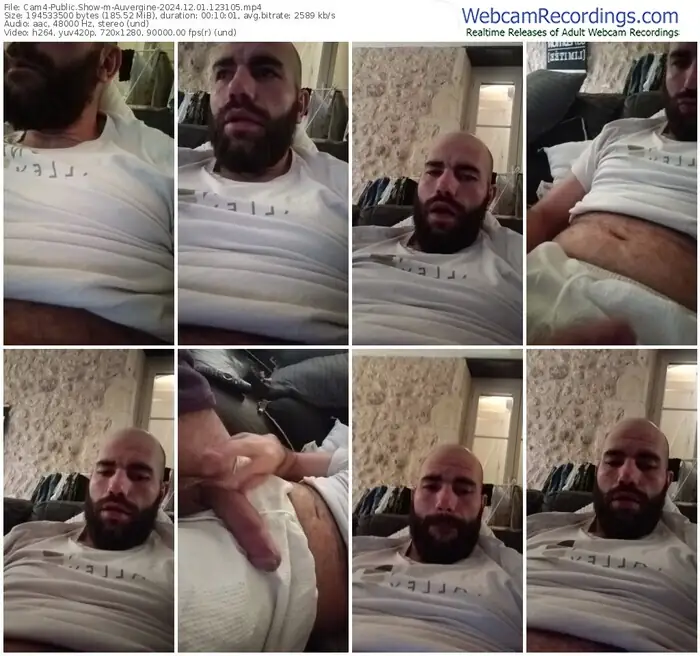 cam4-auvergine-12-01-2024-12-31-05