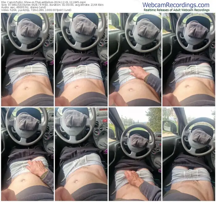 cam4-thelastbebos-12-01-2024-11-18-45