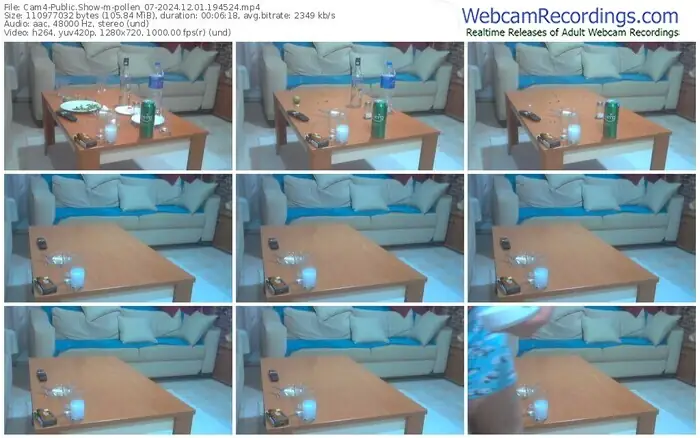 cam4-pollen_07-12-01-2024-19-45-24