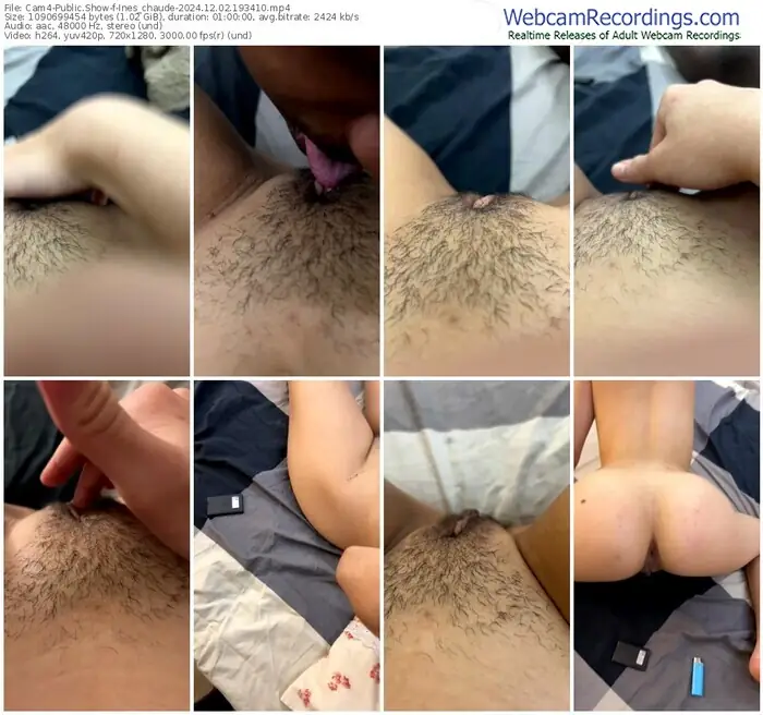 cam4-ines_chaude-12-02-2024-19-34-10