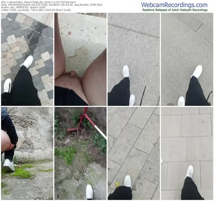 cam4-mellb1-12-03-2024-15-07-58