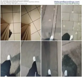 cam4-mellb1-12-03-2024-17-40-28