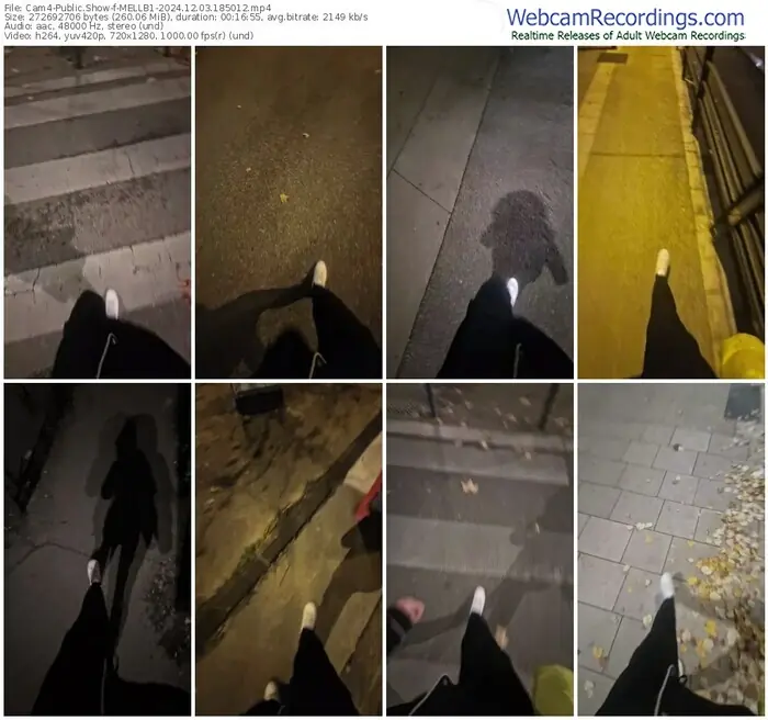 cam4-mellb1-12-03-2024-18-50-12