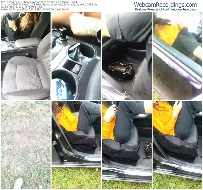 cam4-sansan2420-12-03-2024-15-04-31