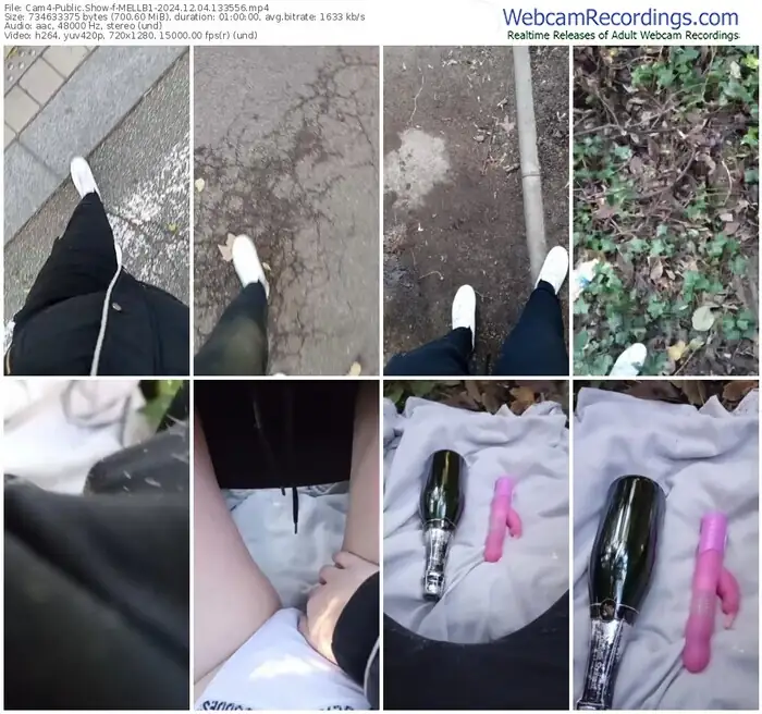 cam4-mellb1-12-04-2024-13-35-56