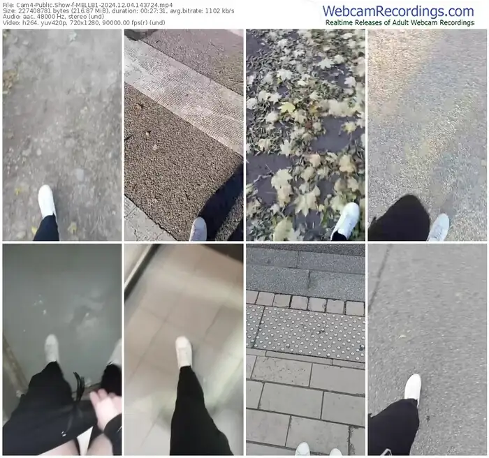 cam4-mellb1-12-04-2024-14-37-24