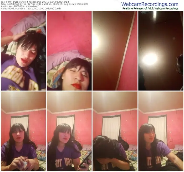 cam4-nooocllama-12-04-2024-04-38-54