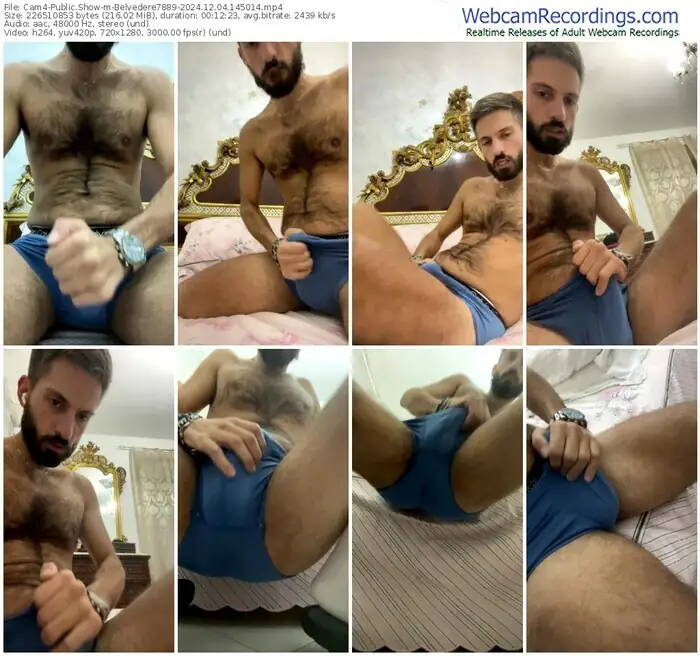 cam4-belvedere7889-12-04-2024-14-50-14