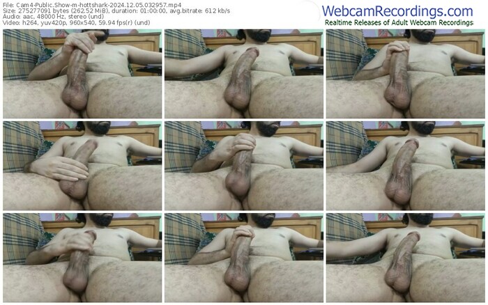 cam4-hottshark-12-05-2024-03-29-57