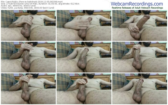 cam4-hottshark-12-05-2024-06-33-49