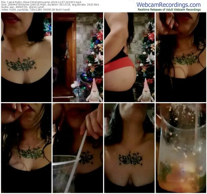 cam4-merlotinvierno-12-07-2024-02-33-15