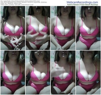 cam4-pinkzinhasc01-12-08-2024-22-25-01