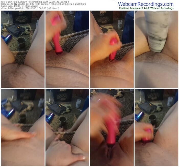 cam4-rosiepeeking-12-08-2024-14-11-59