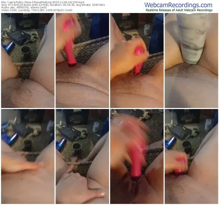 cam4-rosiepeeking-12-08-2024-14-11-59