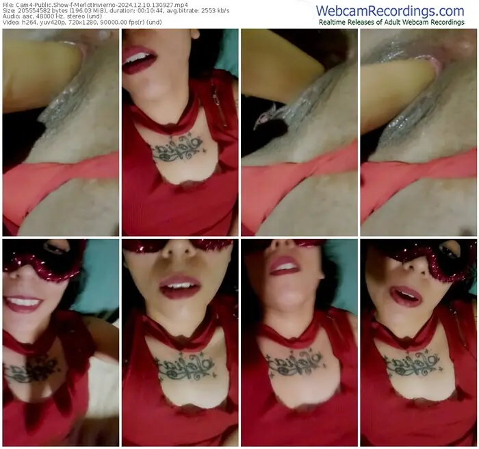 cam4-merlotinvierno-12-10-2024-13-09-27