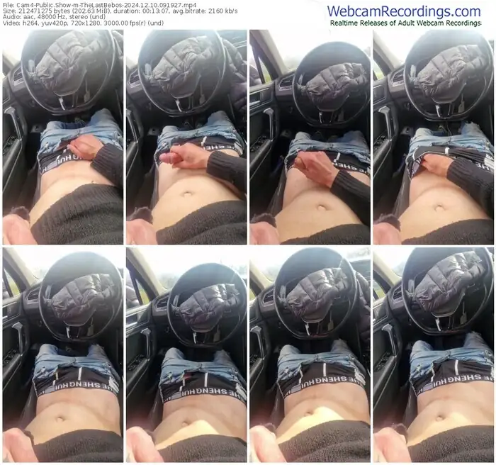 cam4-thelastbebos-12-10-2024-09-19-27