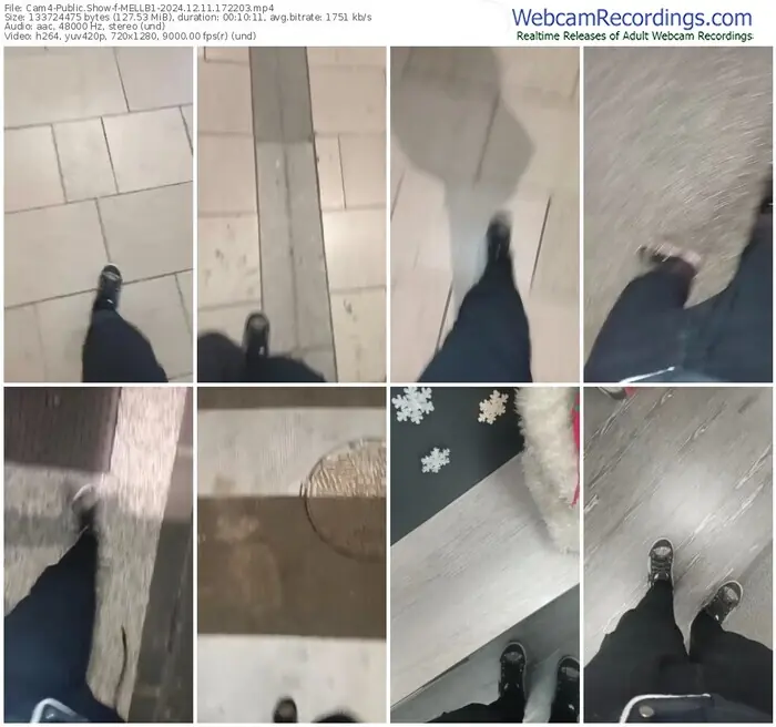 cam4-mellb1-12-11-2024-17-22-03
