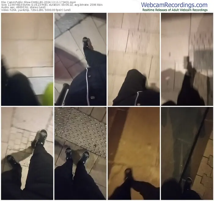 cam4-mellb1-12-11-2024-17-34-31