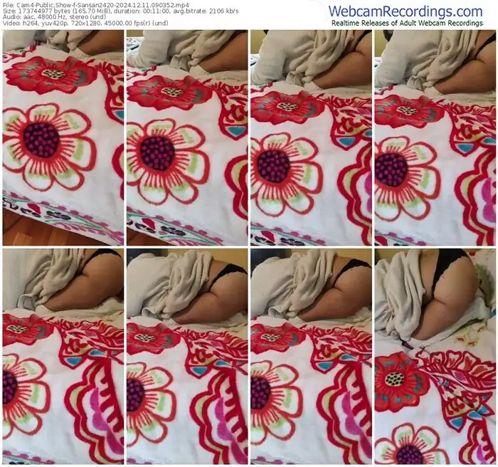 cam4-sansan2420-12-11-2024-09-03-52