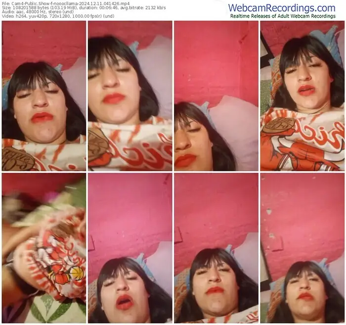 cam4-nooocllama-12-11-2024-04-14-26